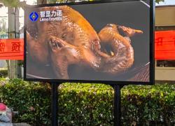 戶外雙立柱led顯示屏廠家